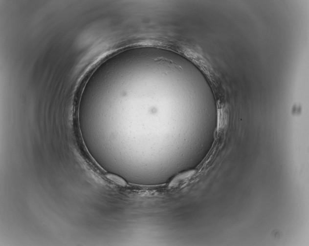 X0000089930243200707201846