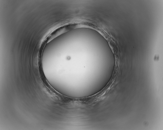 X0000089930244200707201846