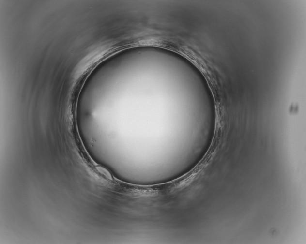 X0000089930245200707201846