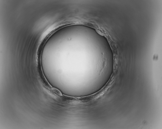 X0000089930246200707201846