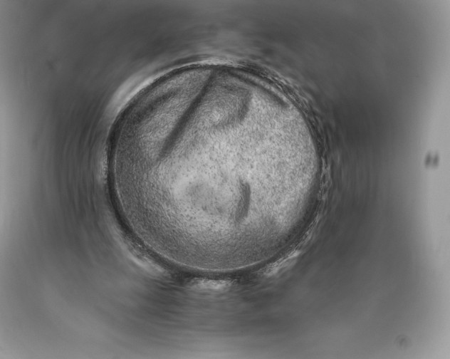 X0000089930247200707201846