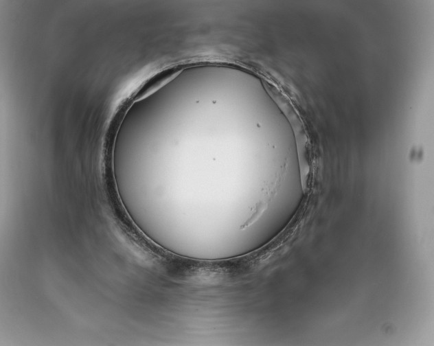 X0000089930248200707201846