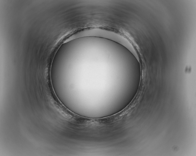 X0000089930249200707201846