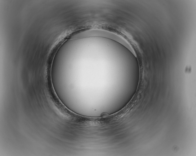 X0000089930250200707201846