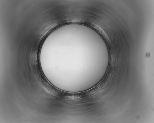 X0000089930251200707201846