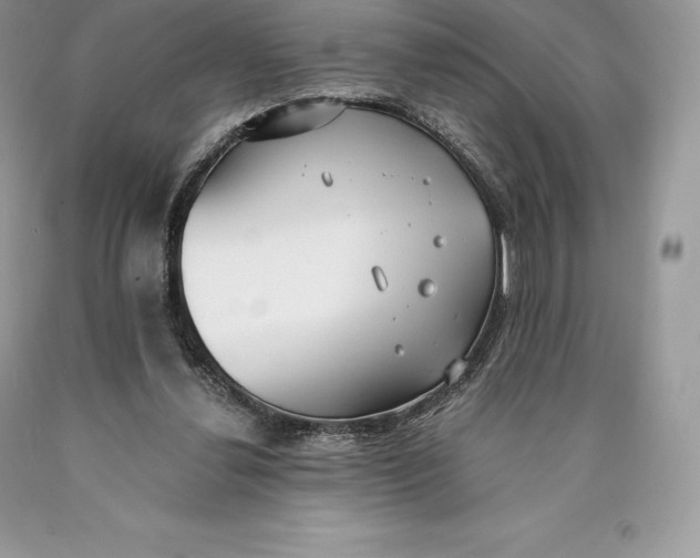 X0000089930252200707201846