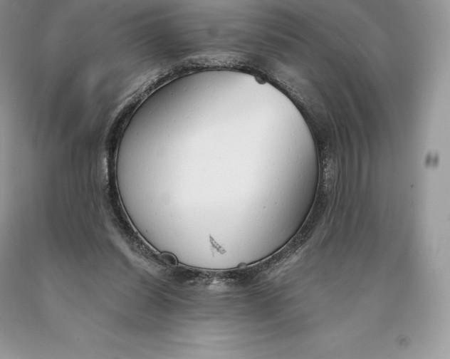 X0000089930254200707201846