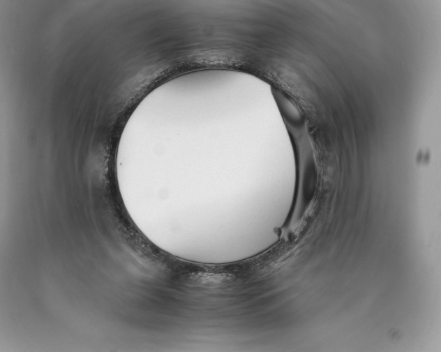 X0000089930255200707201846