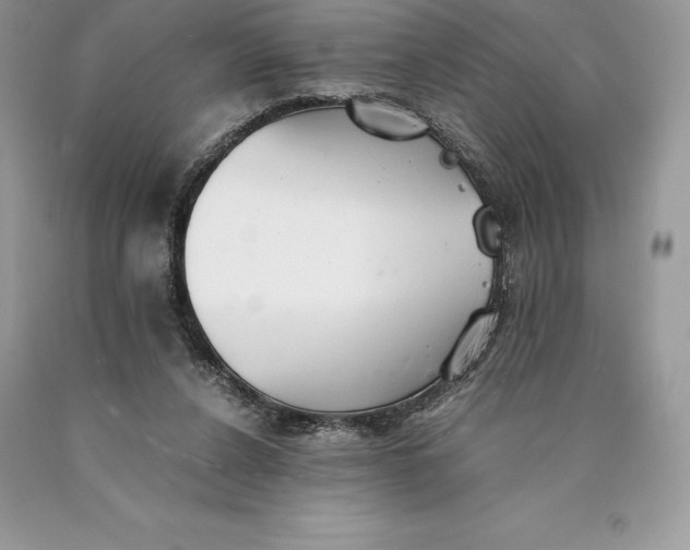 X0000089930256200707201846