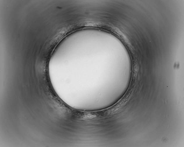 X0000089930257200707201846