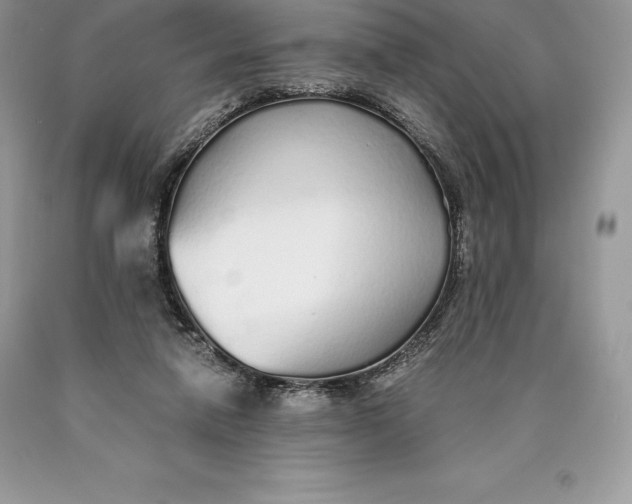 X0000089930258200707201846