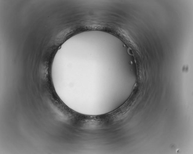 X0000089930259200707201846