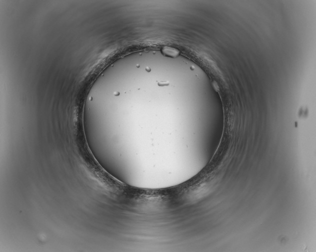 X0000089930260200707201847