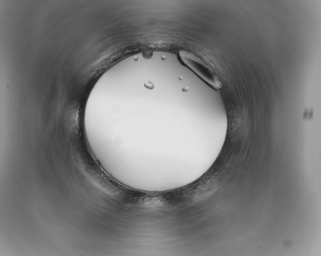 X0000089930262200707201847