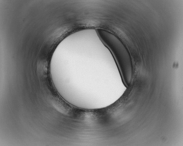 X0000089930264200707201847