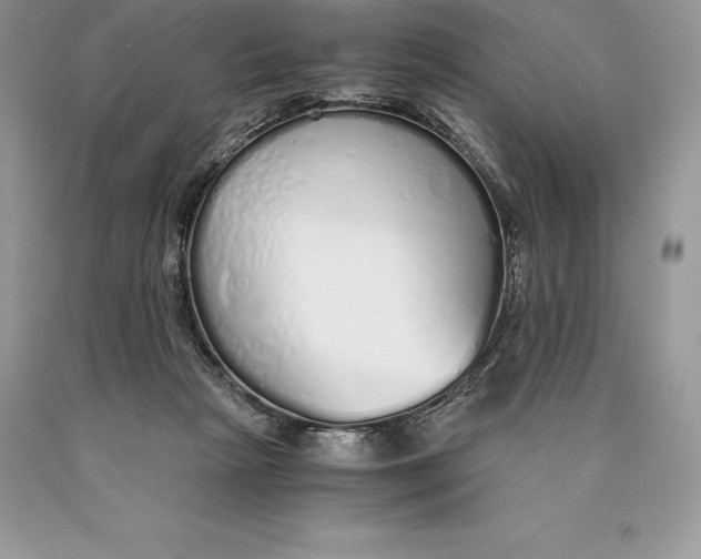 X0000089930265200707201847