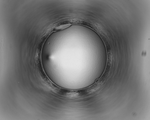 X0000089930266200707201847