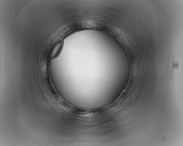 X0000089930267200707201847