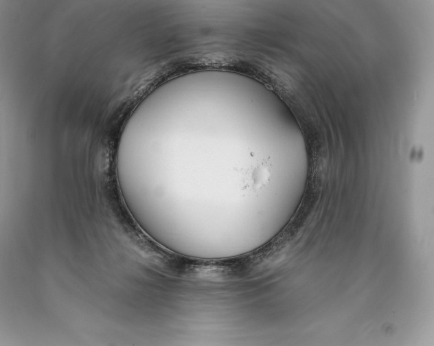 X0000089930268200707201847