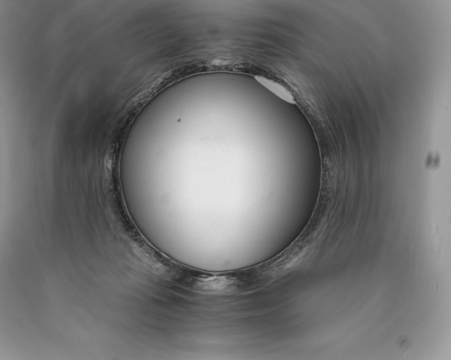 X0000089930269200707201847