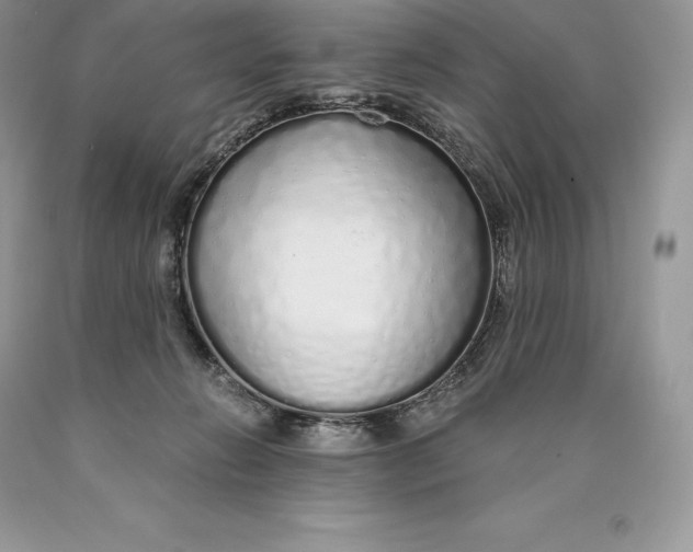 X0000089930270200707201847