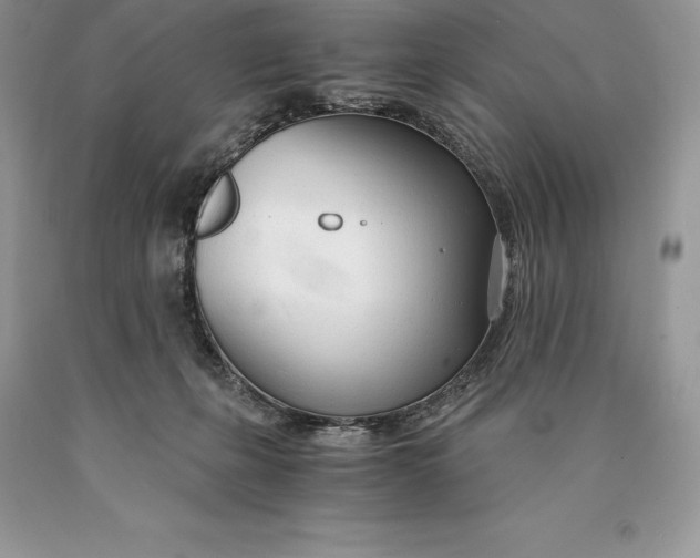 X0000089930271200707201847