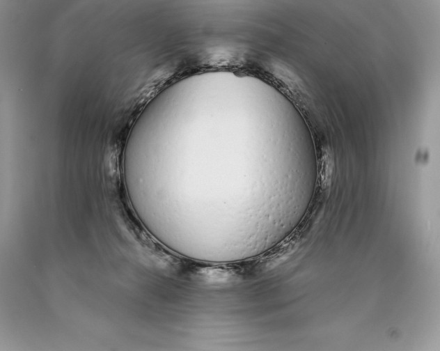 X0000089930272200707201847