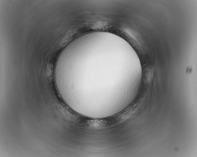 X0000089930273200707201847