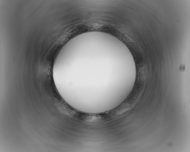 X0000089930274200707201847