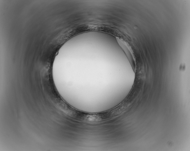 X0000089930275200707201847