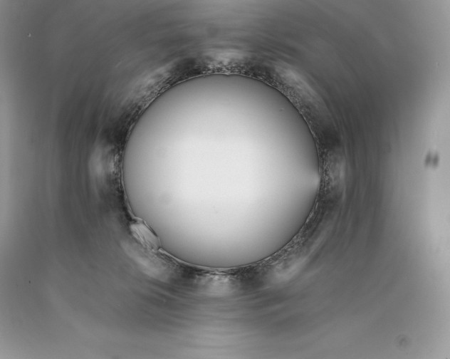 X0000089930276200707201847