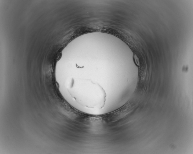 X0000089930279200707201847