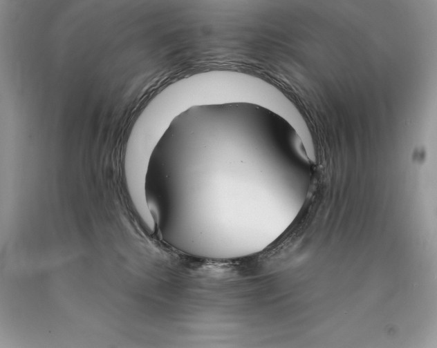 X0000089930280200707201847