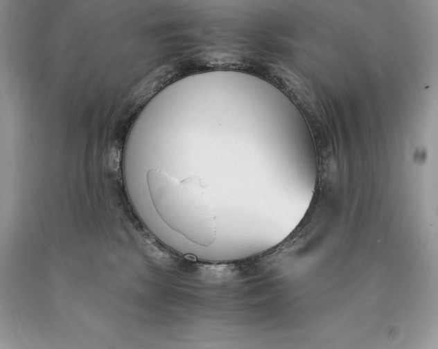 X0000089930281200707201847