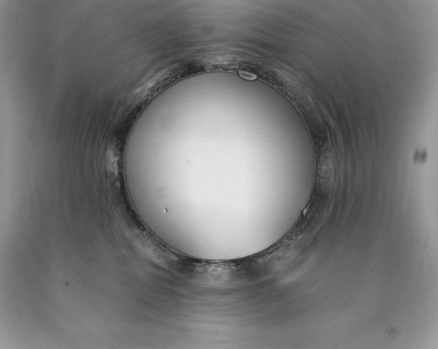 X0000089930282200707201847