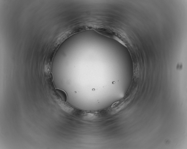 X0000089930285200707201847