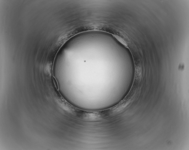 X0000089930286200707201847