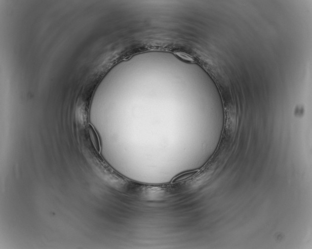 X0000089930287200707201847