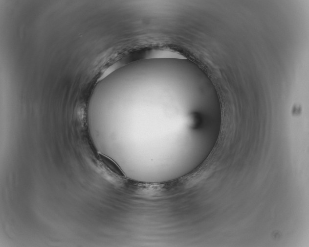 X0000089930288200707201847