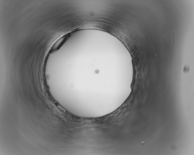 X0000089930289200707201846