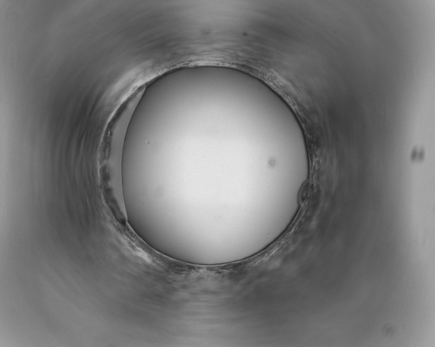 X0000089930290200707201846