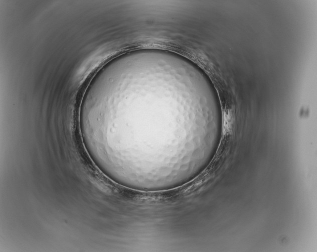 X0000089930291200707201846