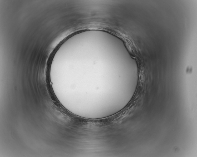 X0000089930292200707201846