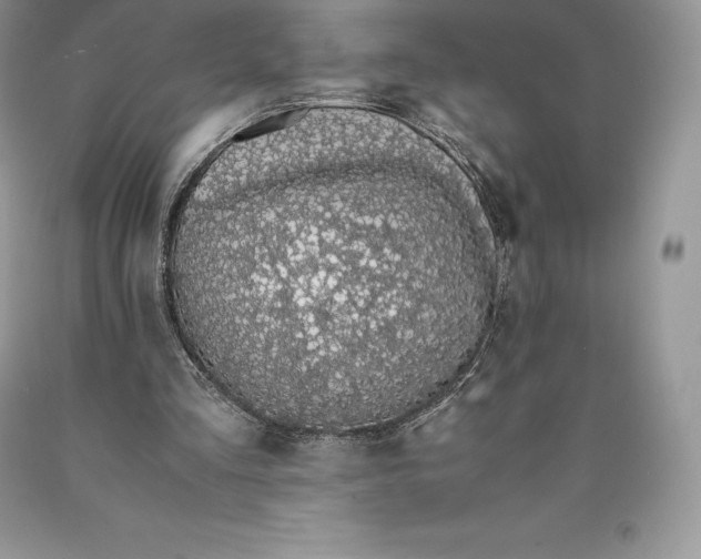 X0000089930293200707201846