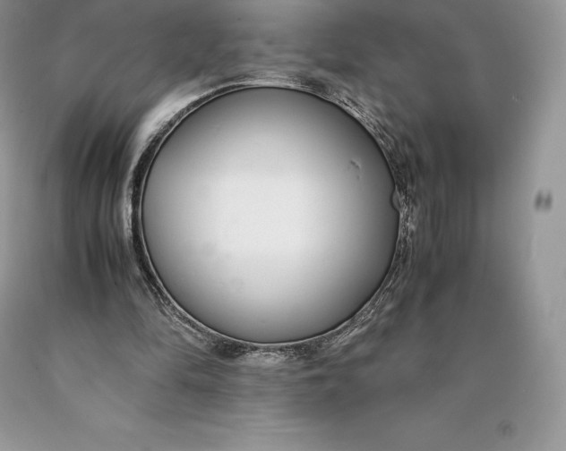 X0000089930294200707201846