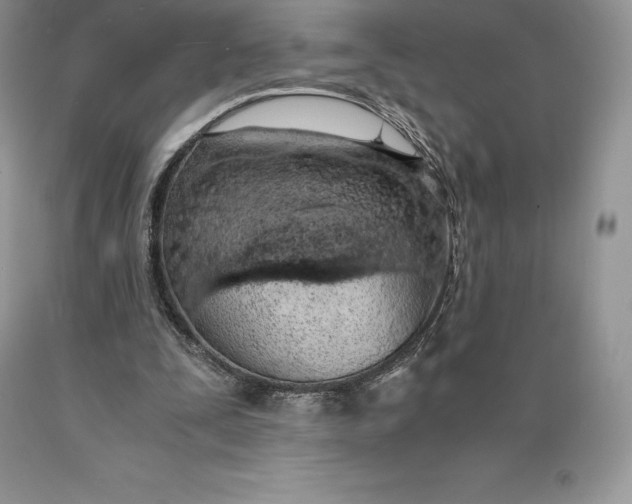 X0000089930295200707201846