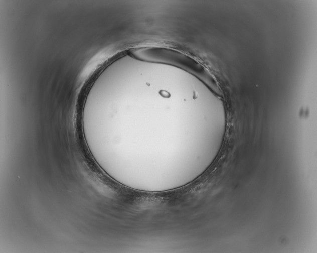 X0000089930296200707201846