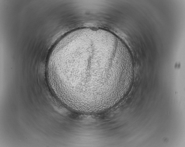 X0000089930297200707201846