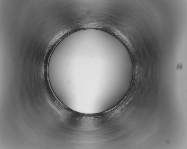 X0000089930298200707201846