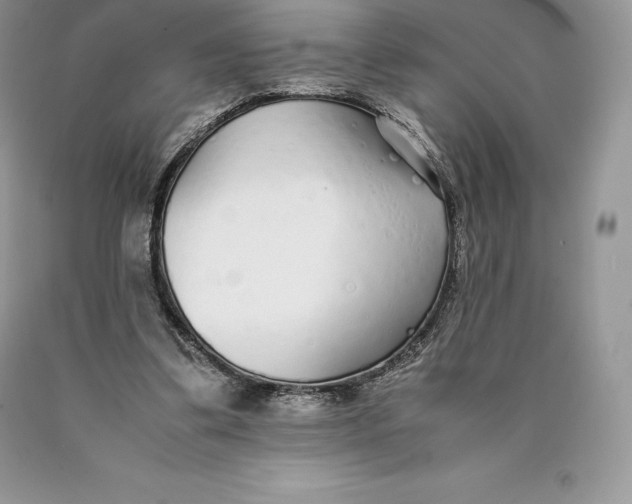 X0000089930299200707201846